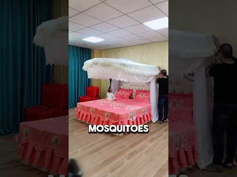 amazing mosquito Net bed 🛌