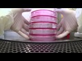 Steven Mayerl's Insights on Science