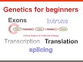mRNA Processing and Function Concepts