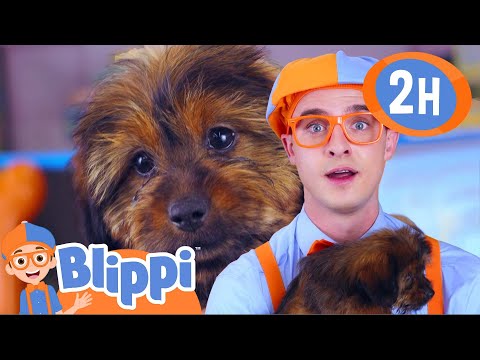 Blippi's Puppy Playdate 🐶 | Cute Animals for You! |  Educational Kids Videos