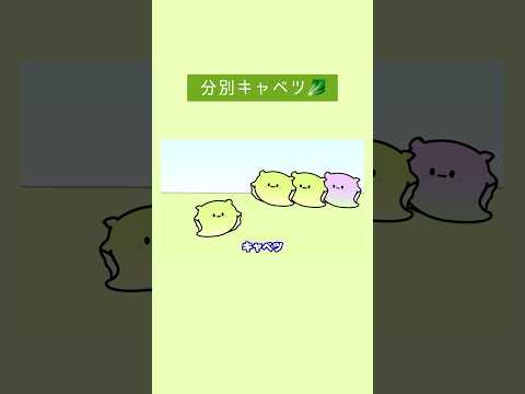 分別キャベツ🥬　#ショートアニメ #アニメ #shorts