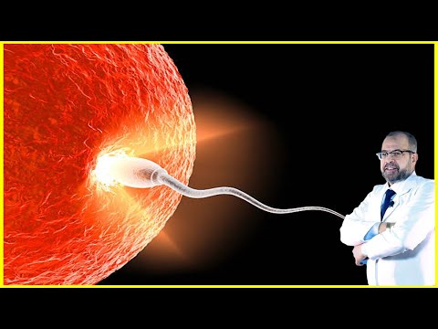 زيادة الحيوانات المنوية وكمية السائل المنوي | دكتور جودة محمد عواد