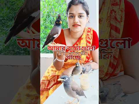 আমি বাচ্চাদেরকে কি খাওয়াচ্ছি 🤔 | #pujamondal #shorts #shortsfeed#ytshorts#viralshort #shortsviral