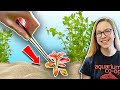 Aquarium Plant Care Techniques