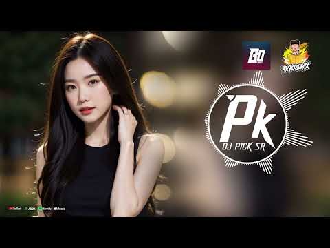 เพลงแดนช์3ช่ามันส์ๆฟังสบายชิลๆ 2024 เบสแน่นๆ (#คัดมาแล้ว)(Mini-Nonstop Vol.1) DJ PICK x DJ BO