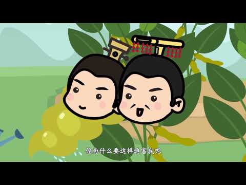 熊猫天天学诗词 85《七步诗》曹植 - YouTube