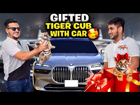 Showroom pr Tiger ko Gift Krny ka Decision Le Lia 🥰 | Come and Win Your Gift | Nouman Hassan |