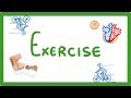Effects of Exercise on the Human Body