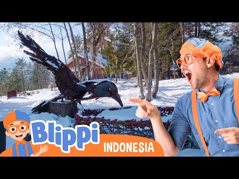 Blippi bermain di salju ⛷️🌨️ | Blippi Bahasa Indonesia - Video Anak-Anak | Petualangan Blippi
