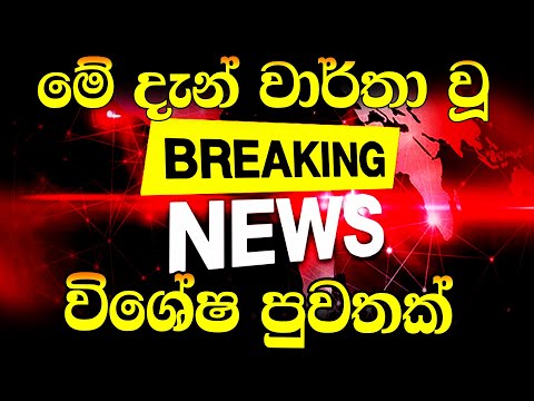 today now  hiru breaking news |  today sinhala | news sri lanka today |  sinhala today breaking ne