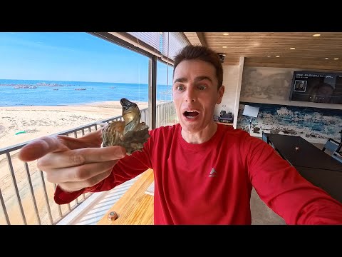Trying Strange Food on a Japanese Island 🇯🇵 (Shikanoshima Vlog)
