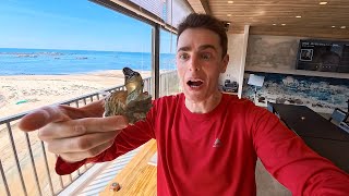 Trying Strange Food on a Japanese Island 🇯🇵 (Shikanoshima Vlog)