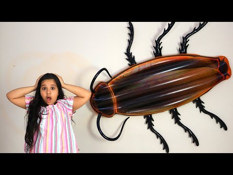 शफ़ा ने बजायी कोकरोच की बैंड।