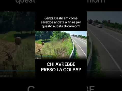 Dashcam OBBLIGATORIE sui mezzi pesanti a tutela degli autisti!