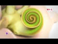 Understanding the Human Ear and Hearing