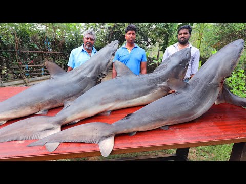60 KG SHARK FISH | Giant Shark Fish Cooking by Daddy for Needy People | Farmer Cooking