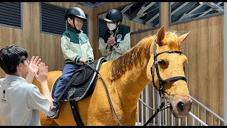 キッザニア 馬のお世話の仕事🐴
