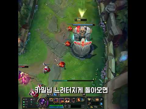 카밀서폿이요?  이거하세요!