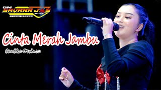 CANTIKA DEVINCA CINTA MERAH JAMBU SAVANA JOS LIVE BERAN