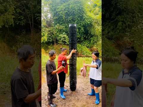 Fish are caught from this cage. #shortvideo