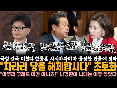 국힘 결국 미치기로 결정했다.. 한동훈 사퇴 결정하자마자 등장한 인물에 경악 "차라리 당을 해체합시다" 초토화, 나경원이 나대는 이유가 있었다