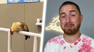 Try Not To LAUGH with Water...