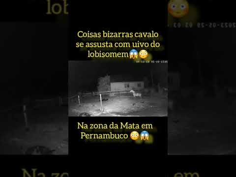 cavalos se assusta com uivo do lobisomem 😱 😳 #shorts #lobisomem