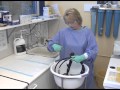 Endoscope Cleaning and Safety Procedures