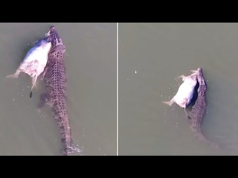 MOMENTOS CHOCANTES CAPTURADOS POR CÂMERA