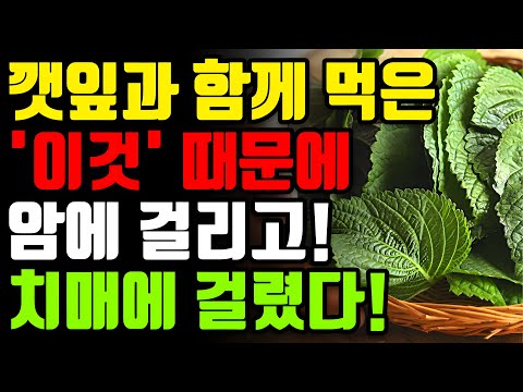 깻잎과 절대로 함께 먹지마세요! 신경이 죽고 암과 치매에 걸릴 수 있습니다! 깻잎 최악의 궁합 3가지와 만성 염증과 독소 싹 빼주는 최고의 레시피 3가지 [효능 부작용 건강 정보]