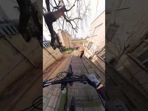 Sıkıntı yok 😎  #mtb #downhill