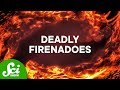 Understanding Wildfires and Their Impact