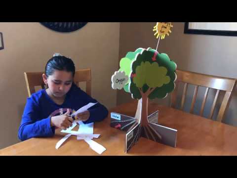 Photosynthesis Homework 3 Jobs Ecityworks