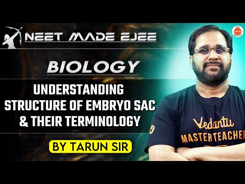 NEET Botany 2025 | Detailed Structure of Embryo Sac & Terminology | Tarun Sir