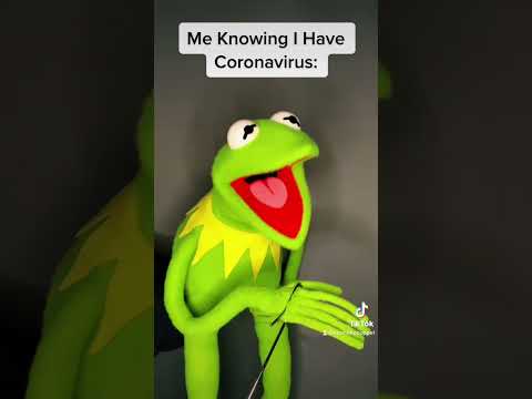 ARE YOU READY !! TIKTOK MEME With Kermit The Frog