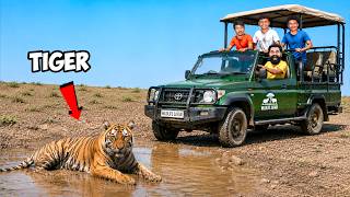 Meeting Real King of Jungle | Kabini Forest Safari | M4 Tech |