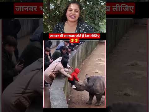 जानवर भी समझदार होते हैं देख लीजिए🥰🥰