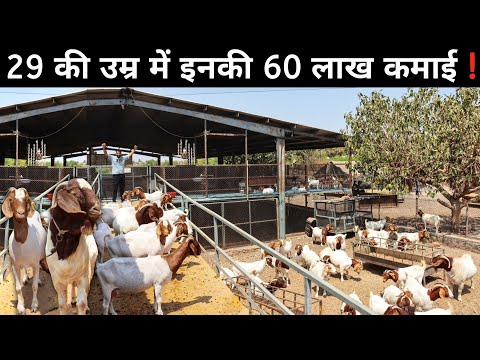 29 साल के लड़के का सफल Goat Farming Business | African Boer Goat