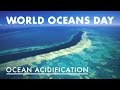 Exploring Ocean Acidification on World Oceans Day