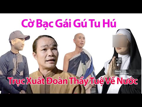 SÁNG 21/2 Nữ Tu Công Giáo Chửi Thẳng Mặt Sư Minh Tuệ Tu Hú Bao Che Phước Nghiêm Vô Ơn Với Anh Báu