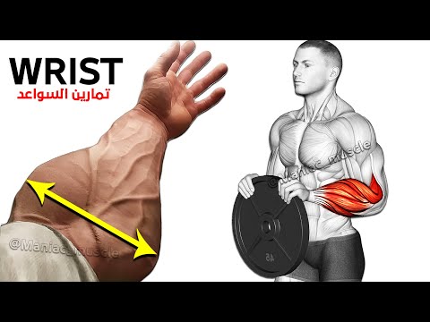 9 PERFECT EXERCISES FOREARM WORKOUT 🎯