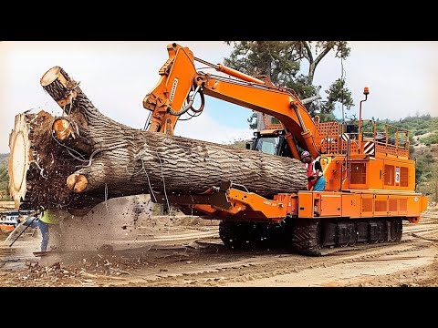 Most Satisfying Woodworking Skills Production, Dangerous Homemade Automatic Firewood Processing