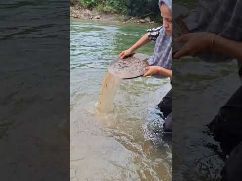 gold prospecting 2024, finding gold in sand, gold prospecting for beginners.
