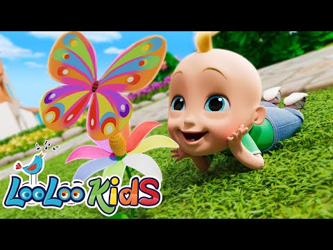 🖐️ Learn Senses, Shapes & Animal Sounds! 🎶 Fun Educational Songs for Kids | LooLoo Kids