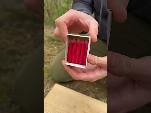✅ The guy shows SURVIVAL skills: Made Matches for Hiking ⛺️ #bushcraft #camping #survival #outdoors