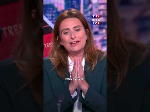 Suppression de deux jours fériés : "tout ça est un piège", selon Marine Tondelier｜TF1 INFO
