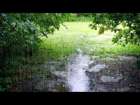 Best Rain Sounds for Sleeping - Fall into a Fast and Deep Sleep. Meditation, PTSD Improvement