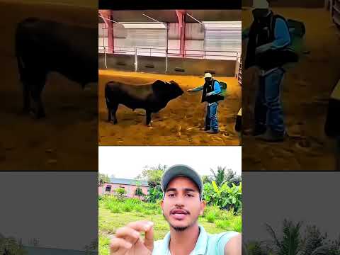 āϝ⧠āĻāĻĒāύāĻžāĻā§ āĻļāĻā§āϤāĻŋāĻļāĻžāϞ⧠āĻŦāĻžāύāĻŋāϝāĻŧā§āĻā§ āϤāĻžāϰ āϏāĻžāĻĨā§ āĻāĻāύ⧠āĻļāĻā§āϤāĻŋ āĻĻā§āĻāĻžāĻŦā§āύ āύāĻžđ˛ #shortsviral #shots #shortvideo #funny