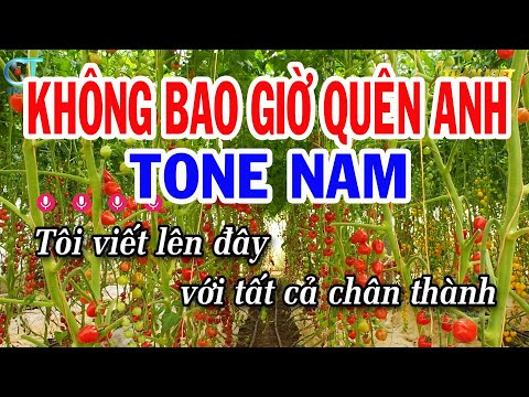 Karaoke Không Bao Giờ Quên Anh Tone Nam ( Cm ) Nhạc Sống Tuấn Kiệt