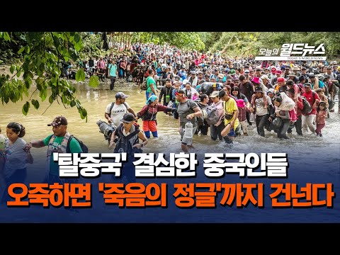 '탈중국' 결심한 중국인들.. 오죽하면 '죽음의 정글'까지 건넌다 / OBS 오늘의 월드뉴스